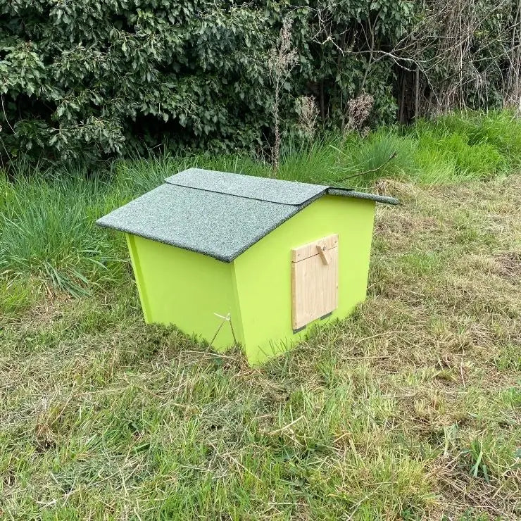 Cabane en bois couleur verte pour lapin et chats