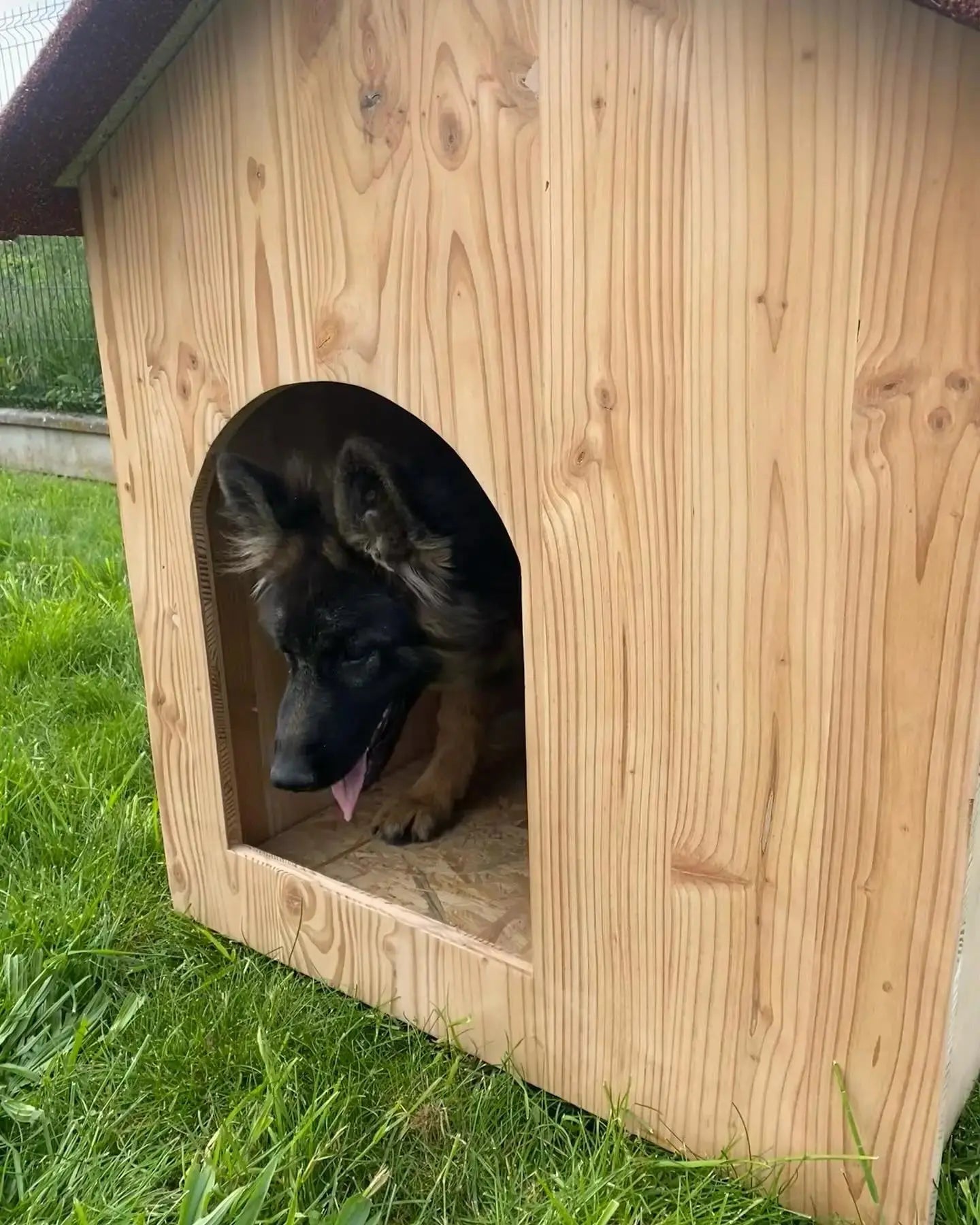 Abri pour chien, niche pour l'extérieur, protection contre les intempéries et l'humidité.