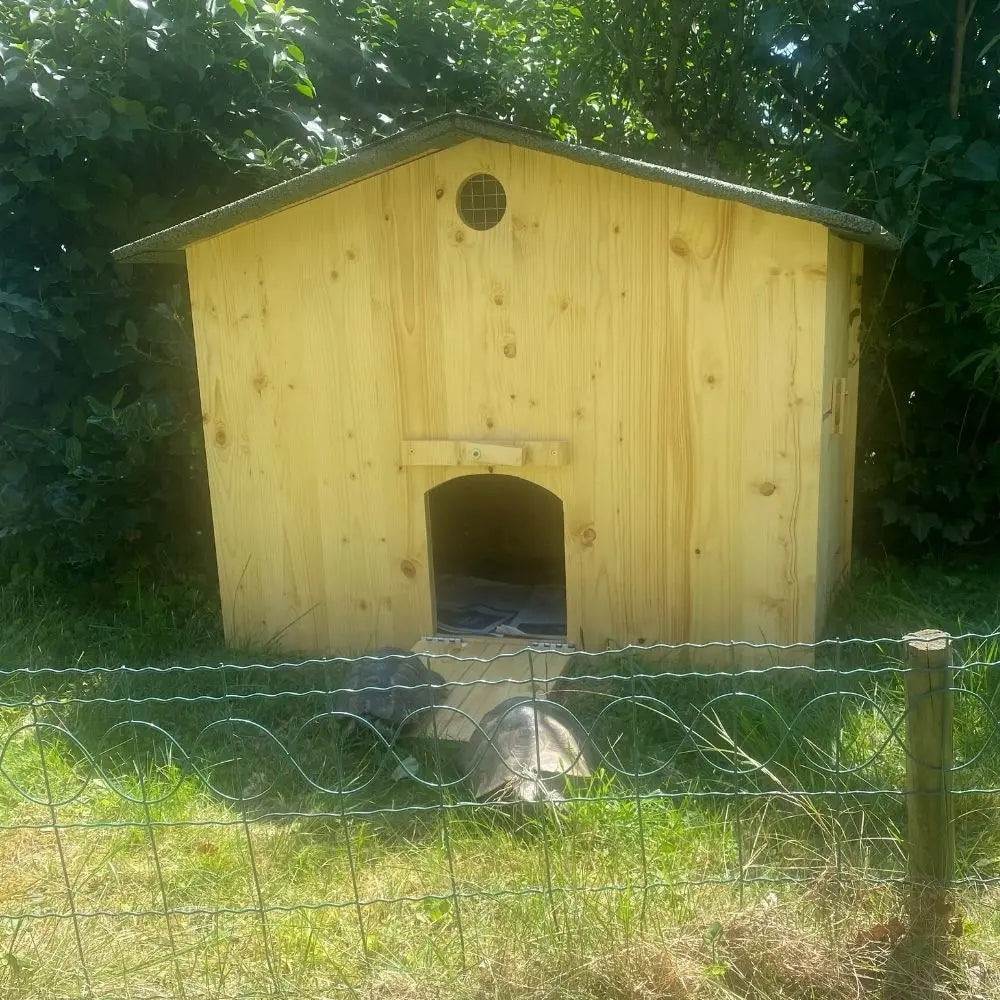 Abri à tortue de terre La Madera