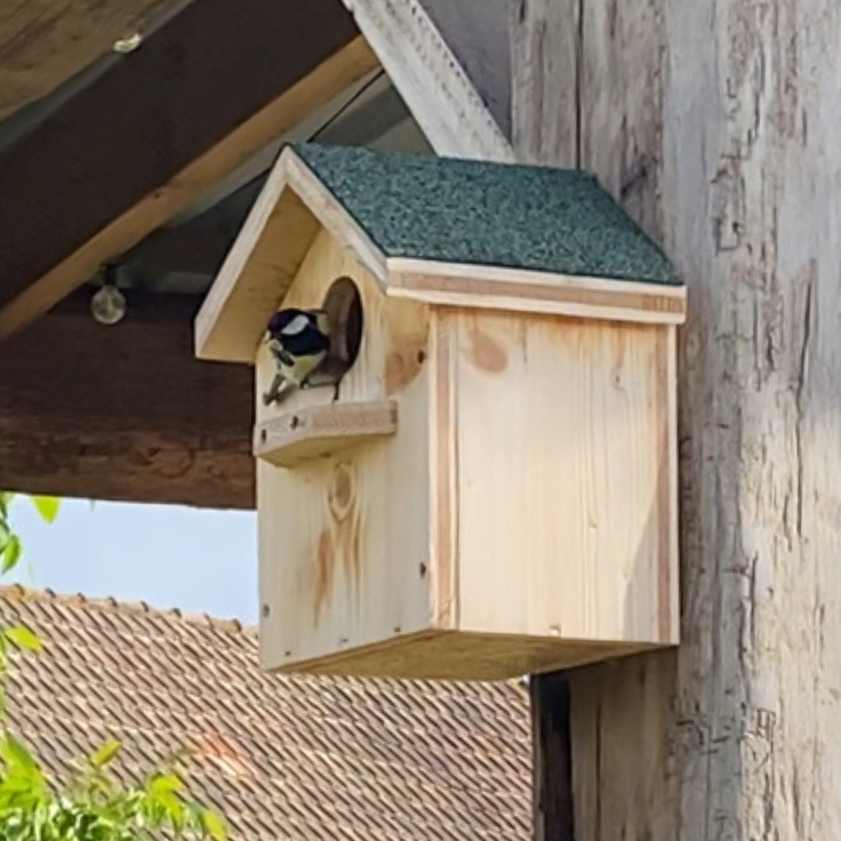 Nichoir pour oiseaux - mésanges – vue extérieure en bois massif