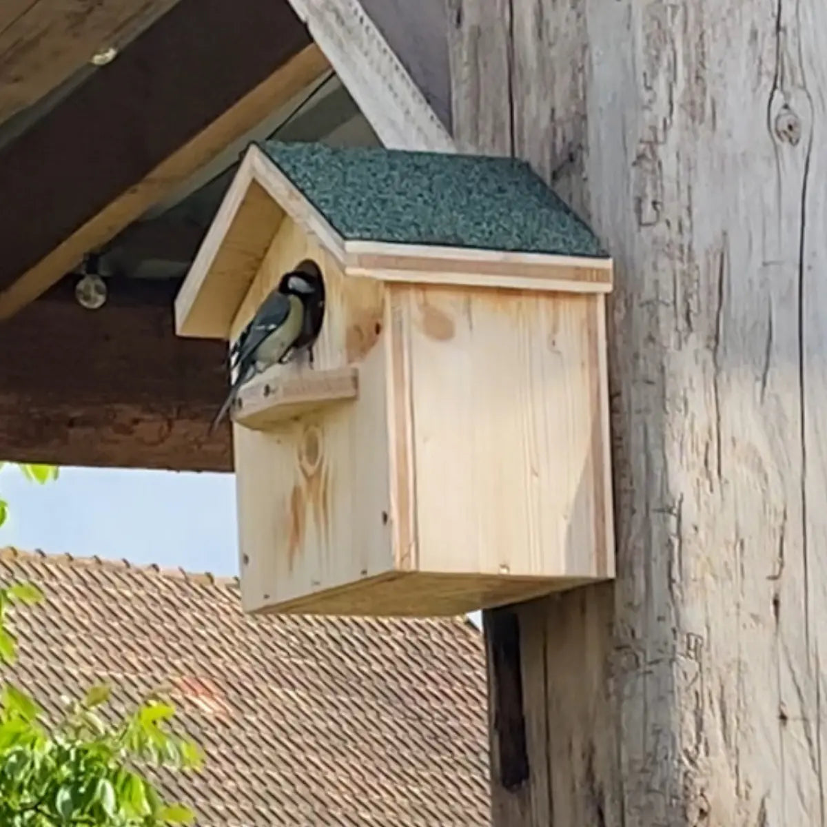 Nichoir à mésange en bois massif La Madera