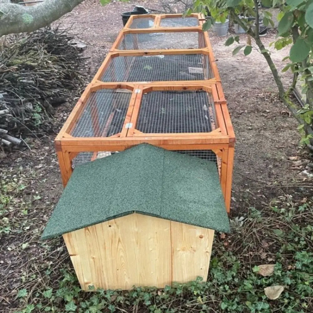 Enclos à tortue de terre et abri à tortue en bois massif