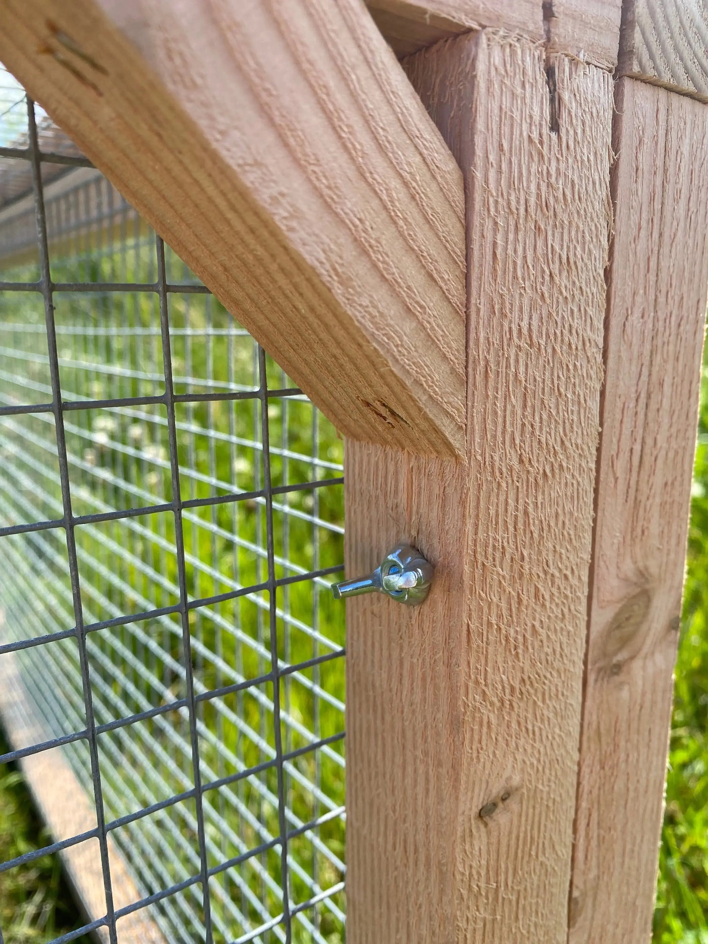 Enclos à tortue en bois douglas montage facile