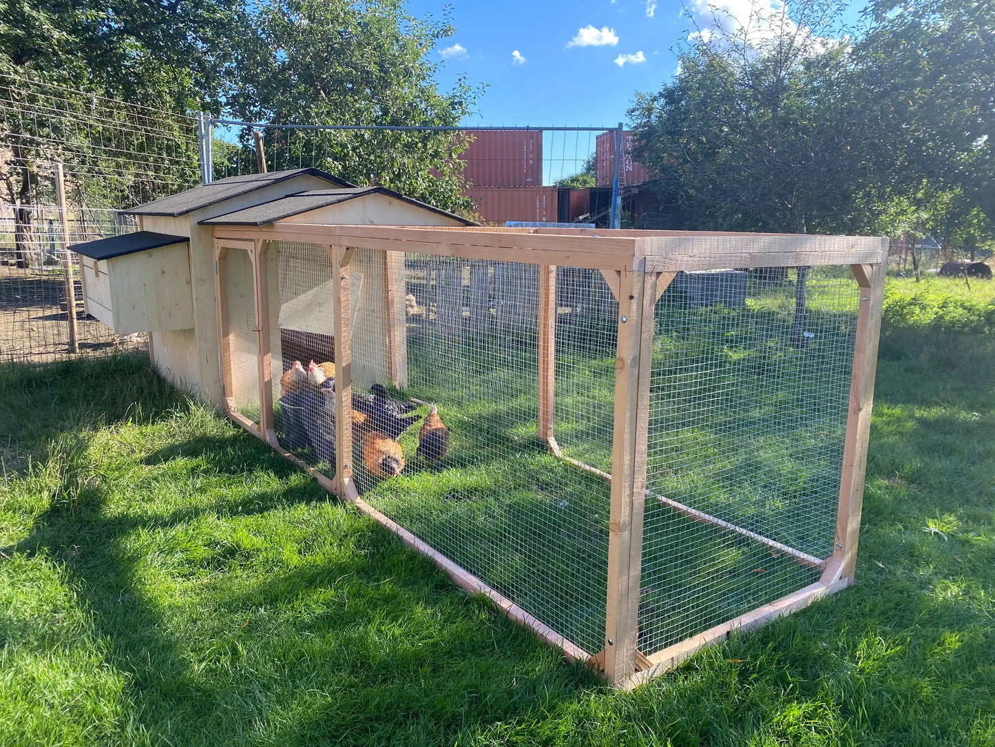 poulailler avec parc anti prédateur, enclos en bois massif et solide, livraison gratuite, montage facile, porte d'accès, utilisation facile.