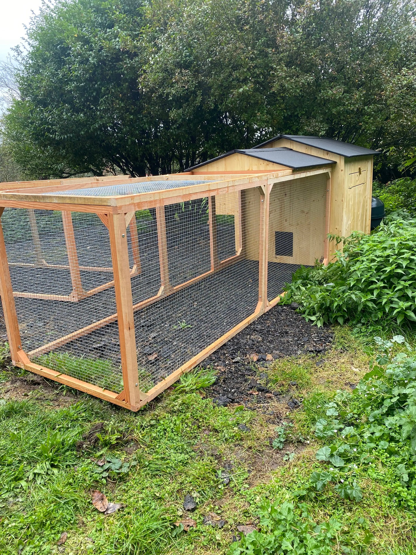 poulailler en bois 8 poules avec enclos protégé toute saison