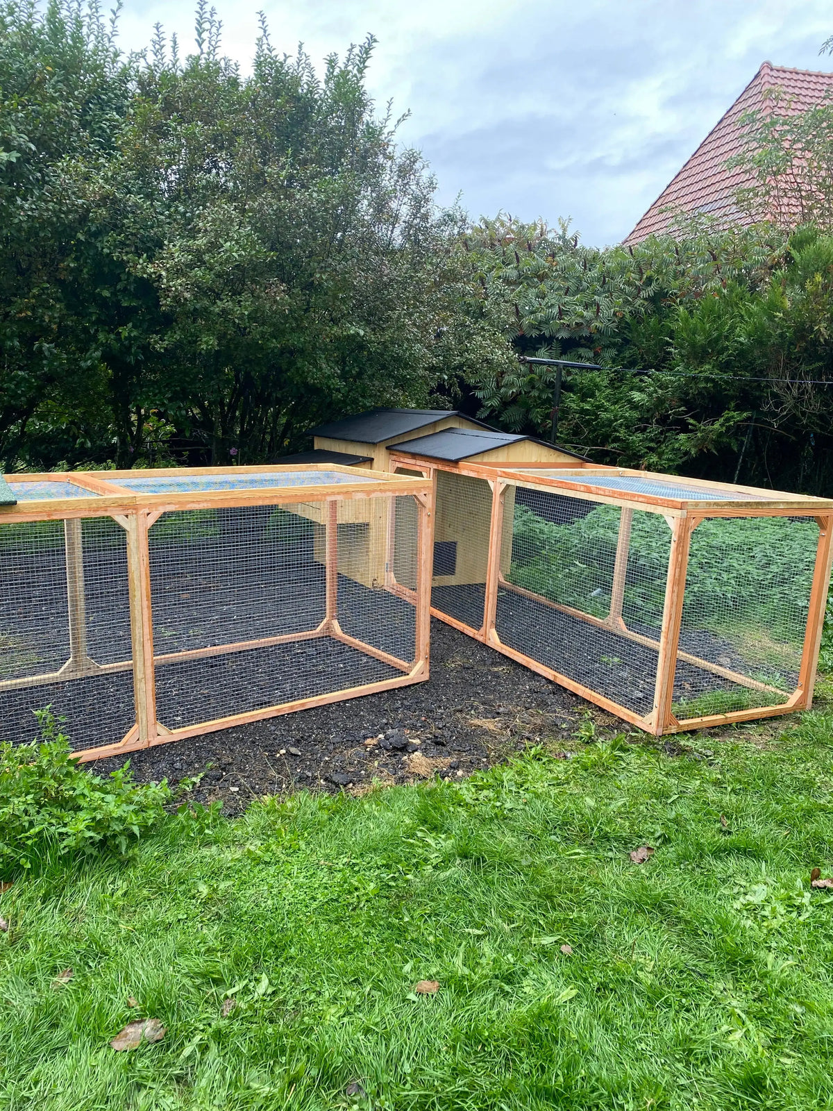 Enclos à poule en bois anti prédateur , grillage en acier galvanisé.