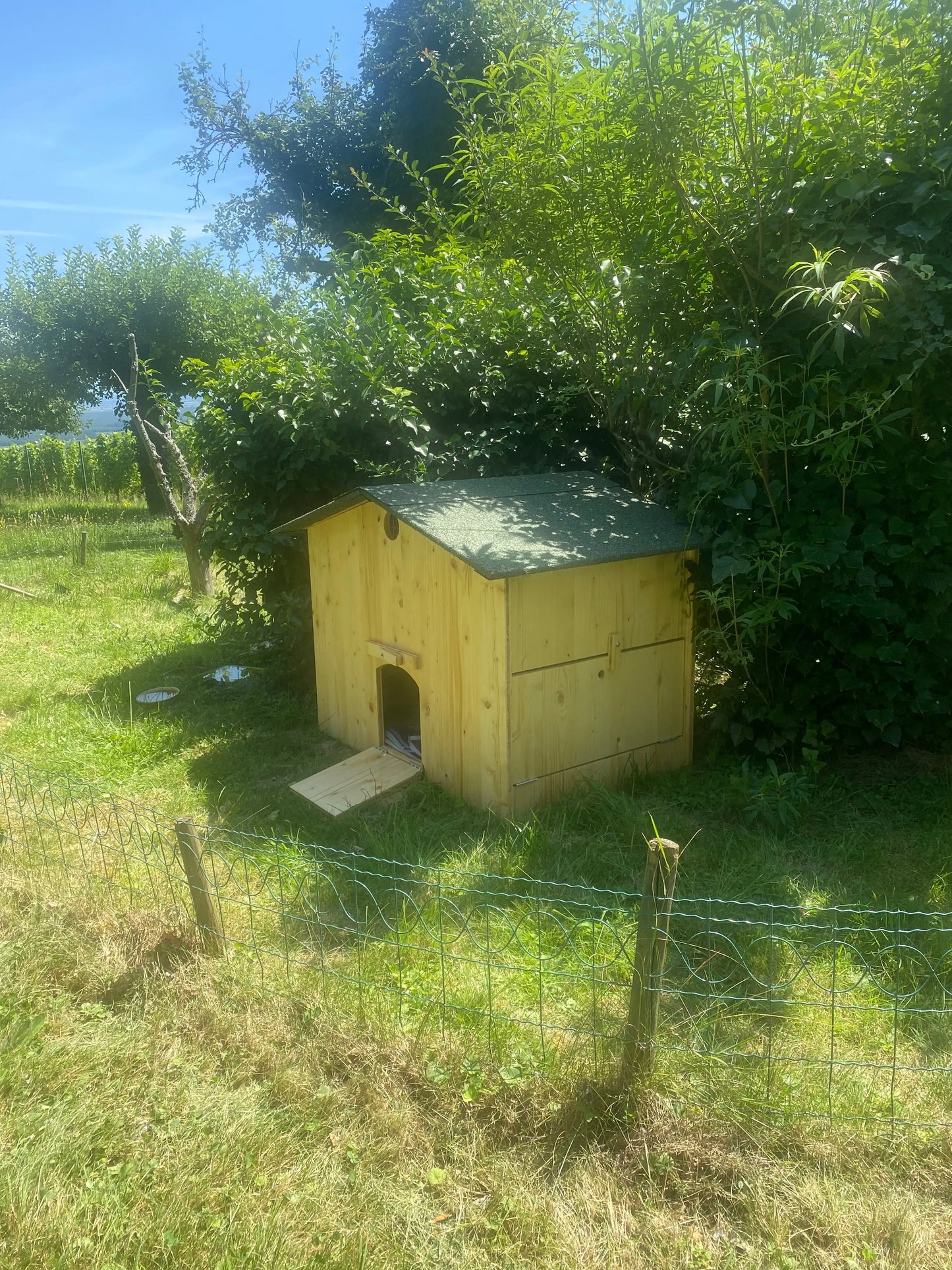 enclos à tortue La Madera