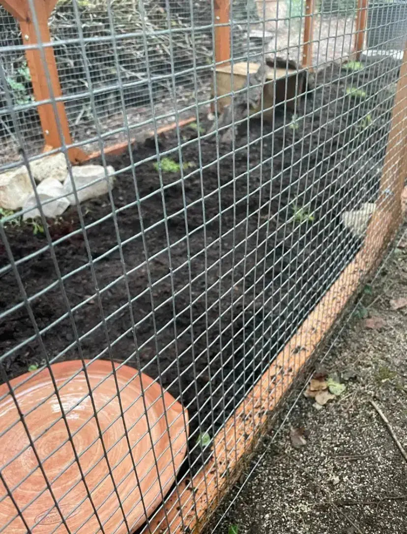 Enclos à tortue XXL La Madera