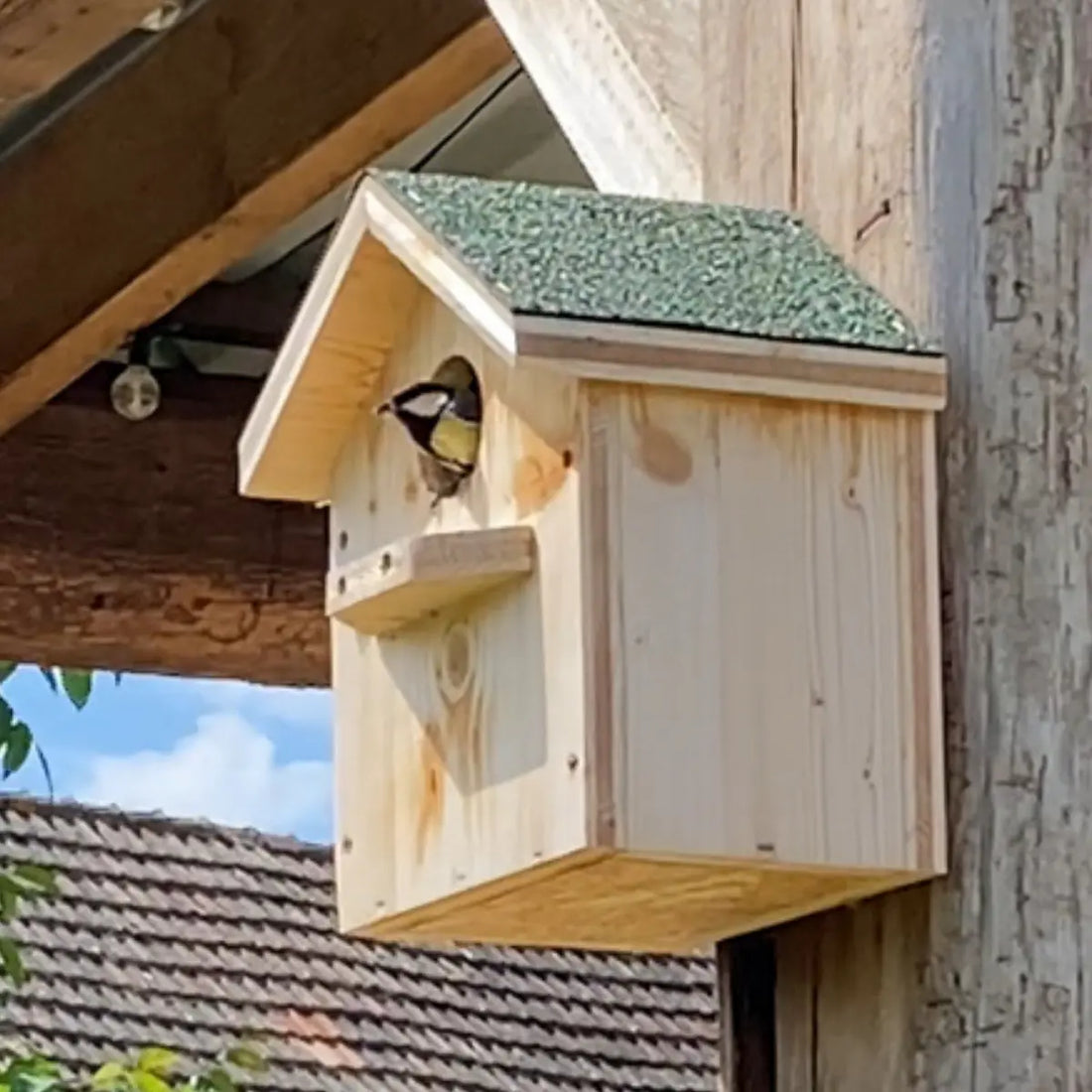 nichoir à mésange charbonnière