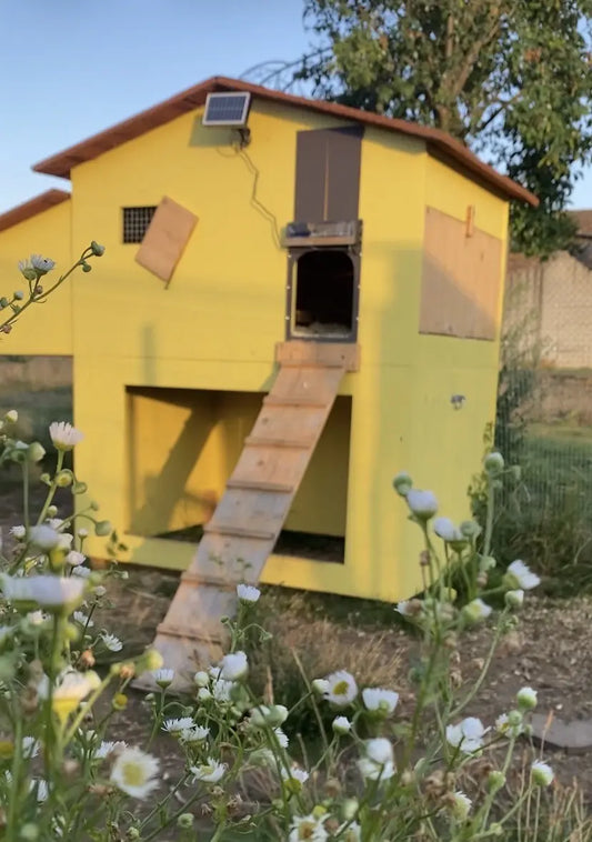 Comment choisir un bon poulailler ? La Madera