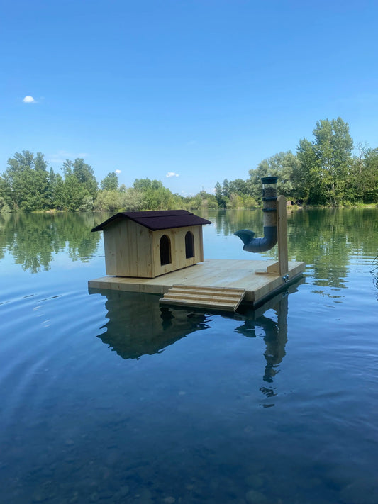 attirer les canards sauvages sur un étang