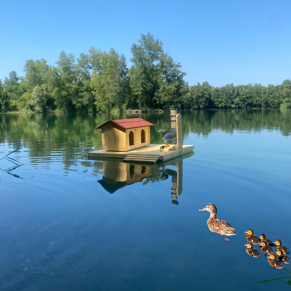 nichoir à canard flottant