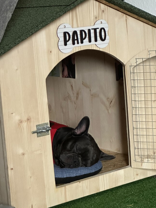 Niche en bois isolé avec porte pour petit chien Ma boutique