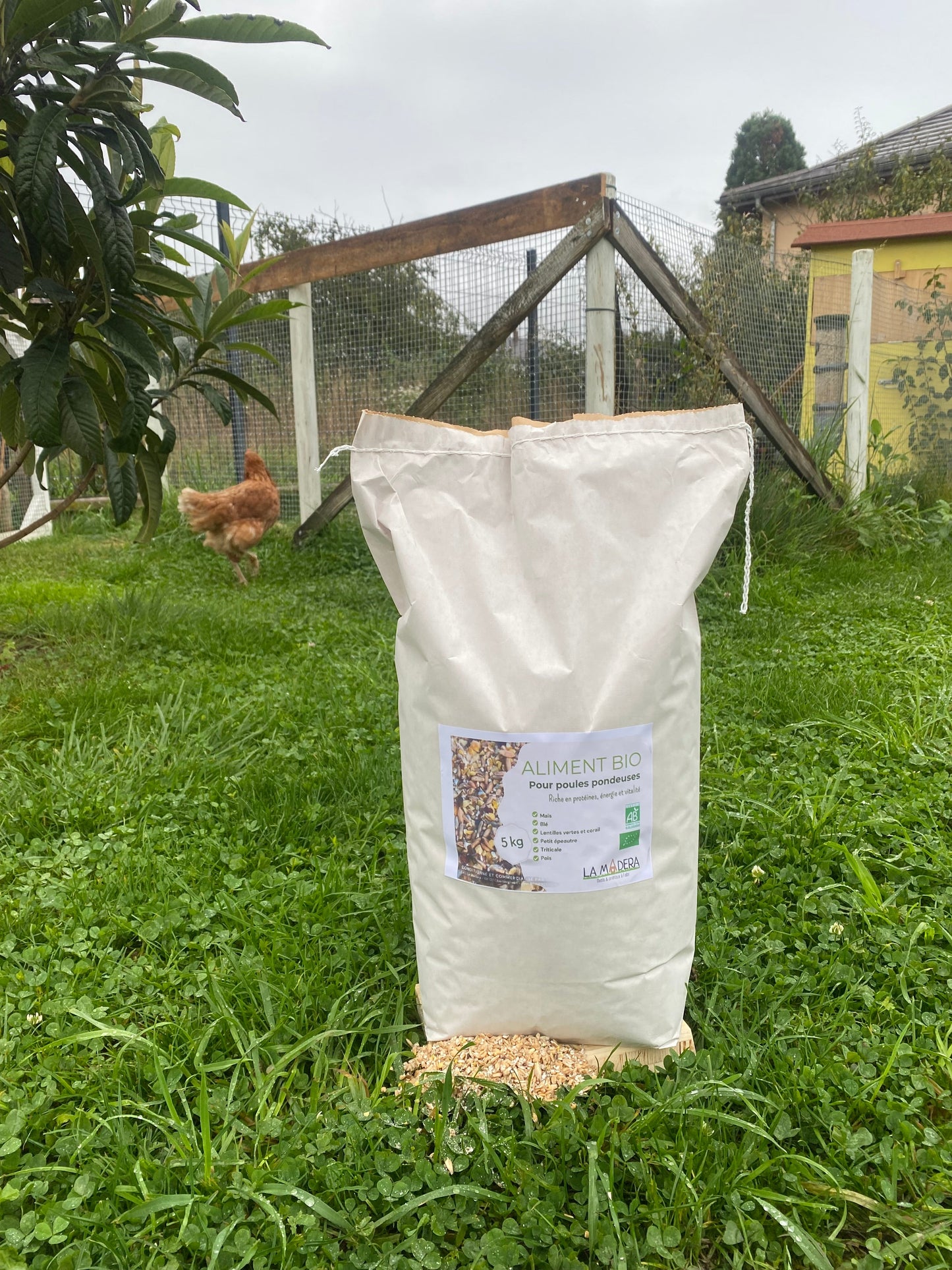 Aliment bio pour poules pondeuses - riche en protéine La Madera