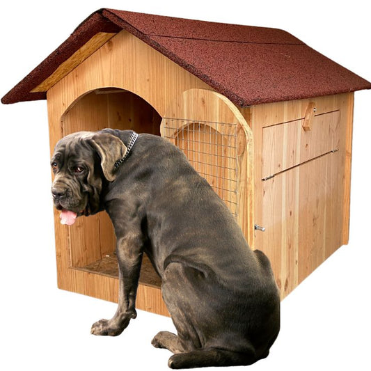 Niche en bois isolé XXL avec porte Ma boutique