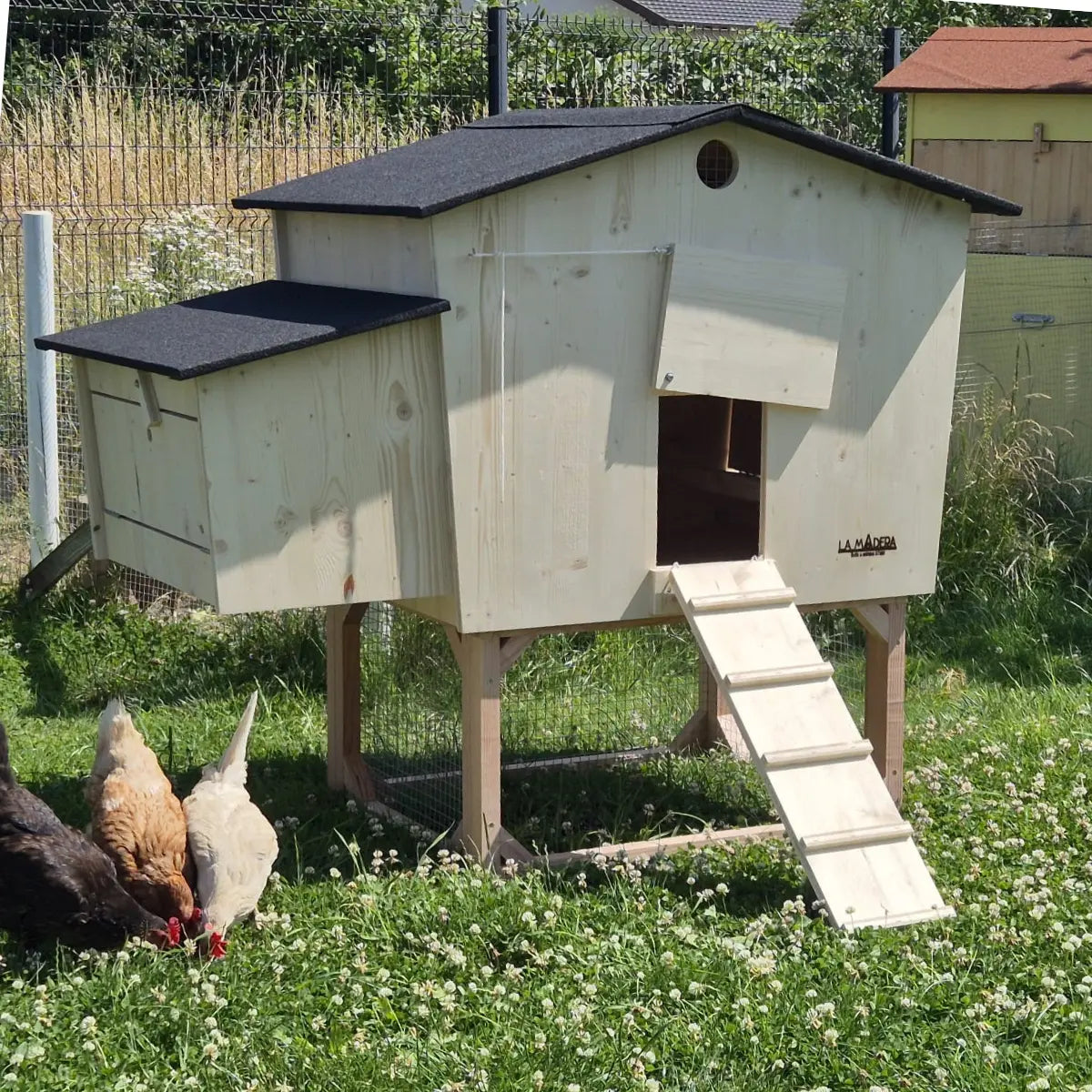 Poulailler pour 6 poules sur pilotis en bois massif, avec rampe d'accès et des poules autours