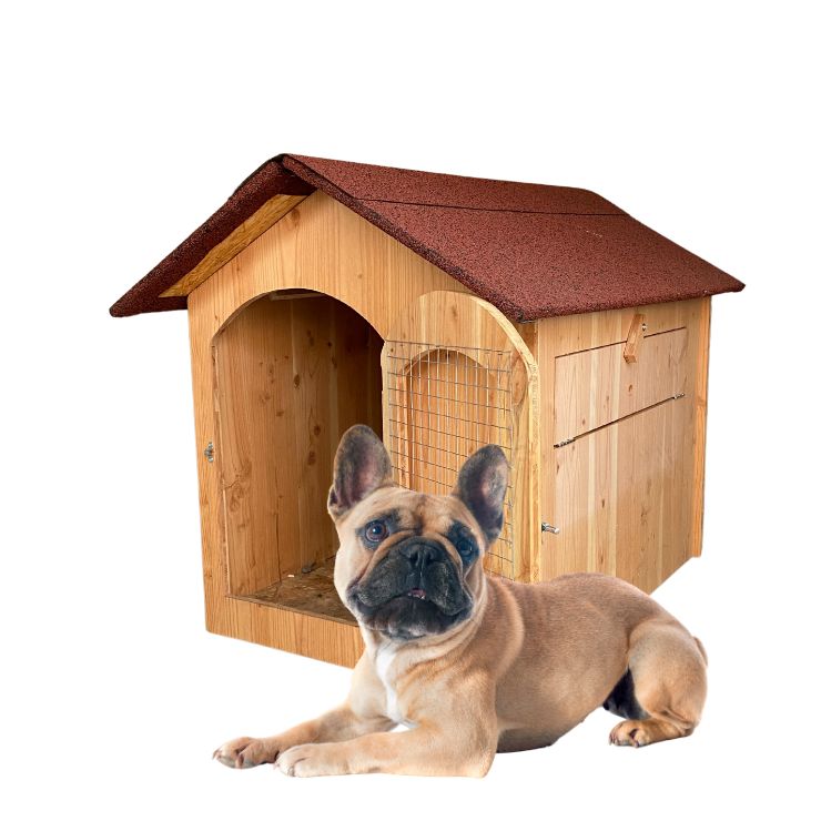 Niche en bois isolé avec porte pour petit chien Ma boutique