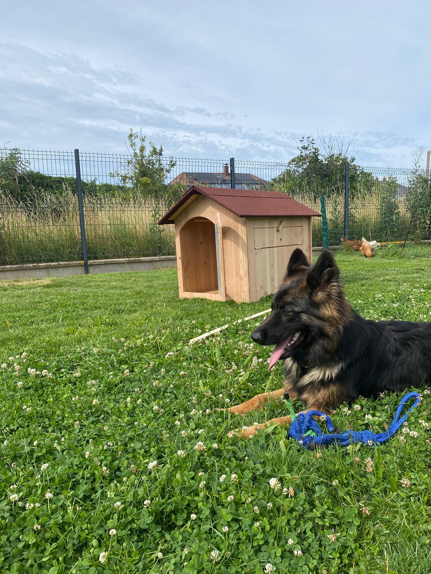 Niche en bois isolé avec porte pour chien moyen Ma boutique