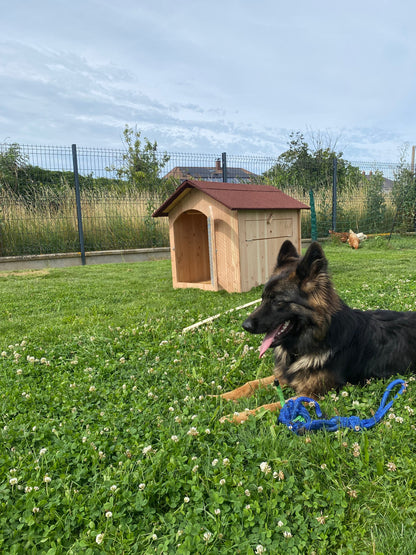 Niche en bois isolé avec porte pour chien moyen Ma boutique