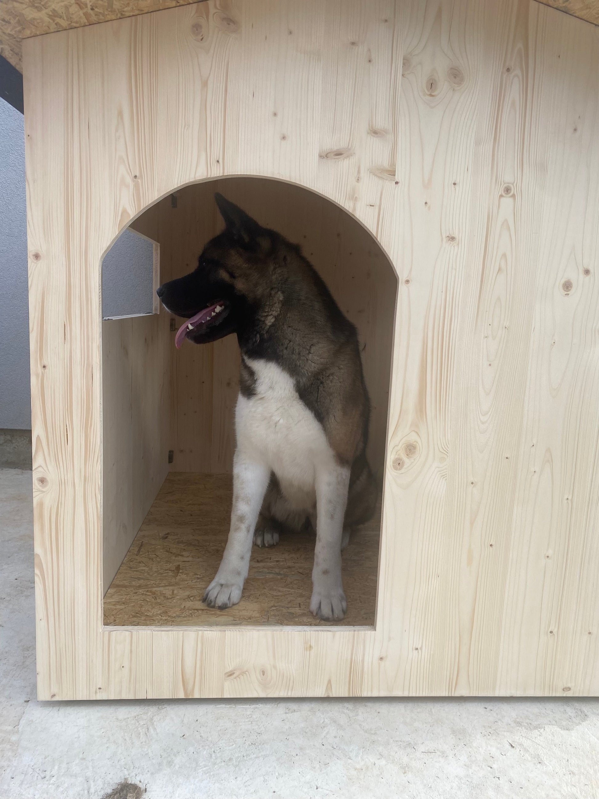 Niche en bois isolé XXL avec porte Ma boutique