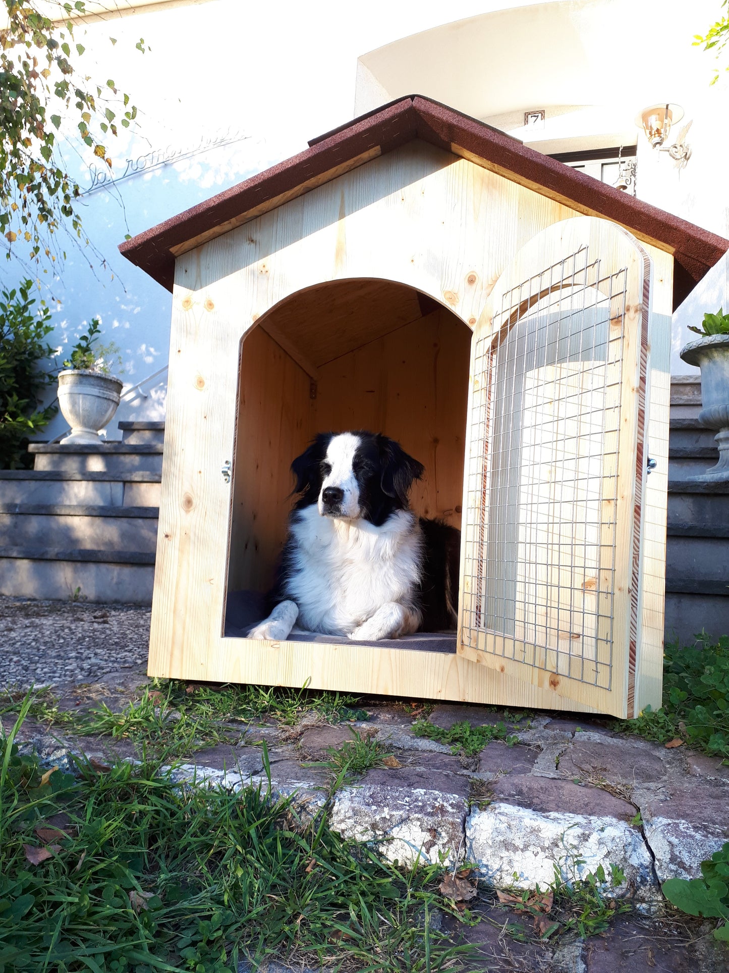 Niche en bois isolé avec porte pour chien moyen Ma boutique