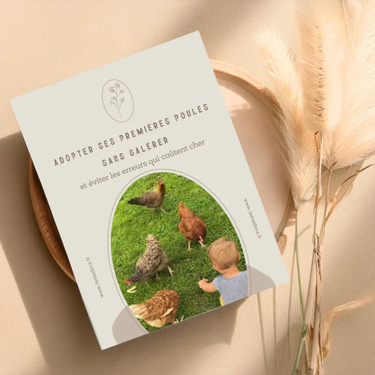 démarrer avec ses poules, guide gratuit pour éviter les erreurs